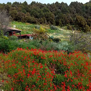 villa-casa-el-retiro-en-mazo.in-canary-islands.com/